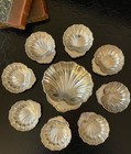 Large Master Set 9 Antique Sterling Silver Shell Bonbonniere Serve Dish American