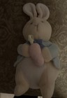 Eden 8    Peter Rabbit Plush Eden Toys Stuffed Animal Toys 1995 Clean   Sanitized
