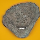 Iron-age Ancient Greek Or Eastern Celtic Bronze Clam Effigy 200 B c  - 100 A d 