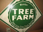 Tree Farm - Diamond Shaped Wooden 30 5  X 30 5  - Big   Old   Vintage   Original