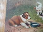 Vintage Dog   Cat Postcard 1907