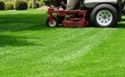 Premium Bermuda Grass Seed Unhulled W moisture Retaining Coating 70 000 Seeds
