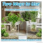 Wzaerouu 2 Pack Upgraded Aquarium Plant Holder  Large Fish Tank Plant Holder    
