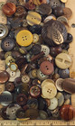250 Buttons - Mostly Vintage From Estate Collection -  31