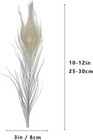 20pcs Off White Peacock Feathers 10-12inch Feather For Crafts Hat Costume Chr   
