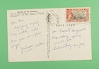 Dr Who 1957 Bahamas Garden flamingo Postcard Rppc To Usa R05721