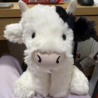 Smudge Cow Medium 2026 New 100  Nwt Us Ship Fast