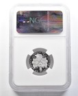 2006-w  25 American Platinum Eagle 1 4 Oz Platinum Pf70 Ucam Ngc