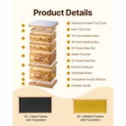 Bee Hive Langstroth Kit 20 Deep   20 Medium Frames With Acrylic Windows