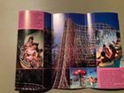 Vintage 1990 Dorney Park Allentown Amusement Park Brochure Guide Roller Coaster