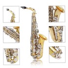 Btuty Alto Saxophone Saxophone Shiny Brass Stamped Ebe-flat Natural White Shell