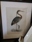 Set Of 2 Blue Heron Pictures Wall Art Heron In The 16l  X 12w  Lotus Pond