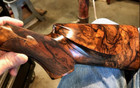 Sb Mcwilliams Gloss Alkanet Varnish  For Gunstocks And Walnut