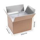 20pcs 200kg 440lbs Box Insulated Shipping Box Cold Shipping Boxes Cooler Box