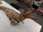 Pnso 23  Huge Ceratosaurus Figure Dinosaur Animal Model Toy Collector Decor Gift