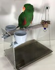 Parrot Car Seat   Table Perch  acrylic  Cups Toy Pedicure Perch Maintains Nails