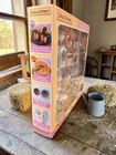 Calico Critters Playful Starter Furniture Set Working Appliances Playset New