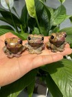 1pc Natural Picture Stone Quartz Carved Crystal Frog Skull Reiki Healing Gift