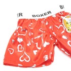 Red Boxer Shorts W  Silver Hearts Teddy Mountain 16  Clothing Fits Build A Bear