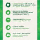 Greenies Original Large Dental Dog Treats 34 Count Natural Chews For Oral Care