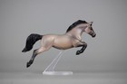 Buckskin Roan Jumping Gelding Custom Stablemate Breyer Horse - 1 32