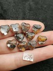 10pc Kenya Sericho Pallasite Iron Meteorite Specimen
