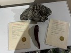 Slither Screen Used Horror Movie Slug   Meteorite Props W  Coa