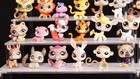 Lps Various Animals  Littlest Pet Shop  Authentic Original Price Per Piece