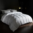  Goose Feather Comforter Size - All Season Duvet Insert  King Stripe White