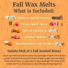 5 Pack - Caramel Apple Cinnamon Pumpkin Spice Vanilla Marshmallow Fall Wax Melts