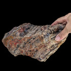 Large 11  Lb Arizona Rainbow Petrified Wood Beautiful Specimen