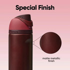 Owala Freesip 24oz Insulated Stainless Steel Water Bottle - Black Cherry