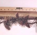 5yd Wallpaper Border Lodge Cabin Lake Mountain Pinecone Garland Boarder