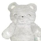 2019 Farallon Belle Gray Teddy Bear Plush Stuffed Lovey Toy 14 
