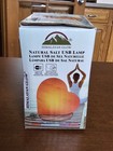 Himalayan Glow Usb Heart Salt Lamp  Multicolor Night Light - Brand New sealed 