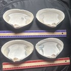 Natural Witch   s Seashell  Ocean Altar Decor  Ritual Offering wicca 4pcs  Lot 15