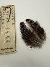 Malayan Peacock Pheasant  Eye Feathers  3 Pair   2