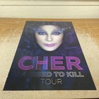 Cher Lenticular Poster 17x11 Dressed To Kill Tour Rare