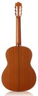 Cordoba C5 Cedar Nylon String Acoustic Guitar - Full Size