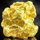  500  Grams Alaskan Yukon Bc Natural Pure Gold Nugget Hand Picked   g500  