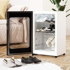 Smart Shoe Dryer Cabinet Uv Deodorizer 6-8 Pair Heated Drying Rack 220v