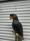 Vintage Original Rare Parrot Sculpture Figurine Hand Carved On Metal Stand 63 In
