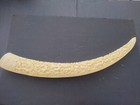 Giant 30  Ivory Tusk Carved Dragons  Faux Ivory Tusk