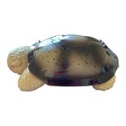 Cloud B Tranquil Turtle Night Light - Green  Blue  Amber Projected Ceiling Stars