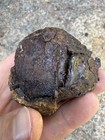 1715 Treasure Fleet Shipwreck Recovered Spanish Galleon Cannonball