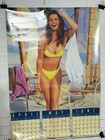 Vintage 2003 Tequiza Anheuser Bush Sexy Beer Poster Calendar Bikini 27    X 19   