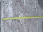 Large Petrified Wood Stone Rough Raw Rock Natural Curved Bark Stone Arizona
