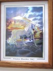 Unicorn   Rainbow Foil Art Outer Banks North Carolina Souvenir Framed 10 X 12