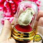 Rock Healing Stone Buddha Relic Lucky Wealth Samroiyod Phratad Thai Amulet 18615