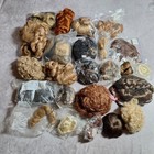 Huge Lot Of 80  Doll Wigs - All Different Sizes  Colors And Styles
